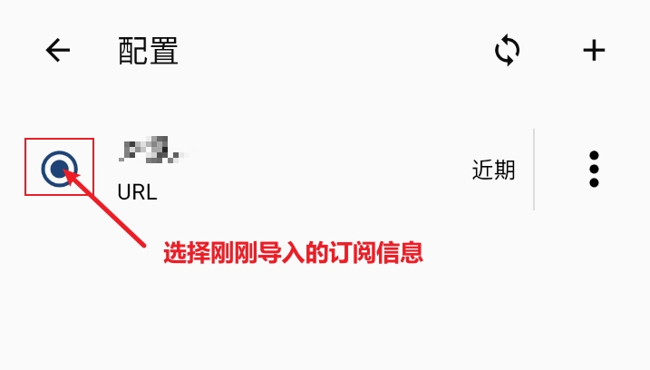 Clash Meta for Android 选择导入的配置