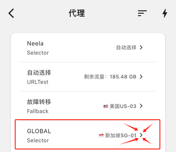 Clash Mi 选择具体节点-2