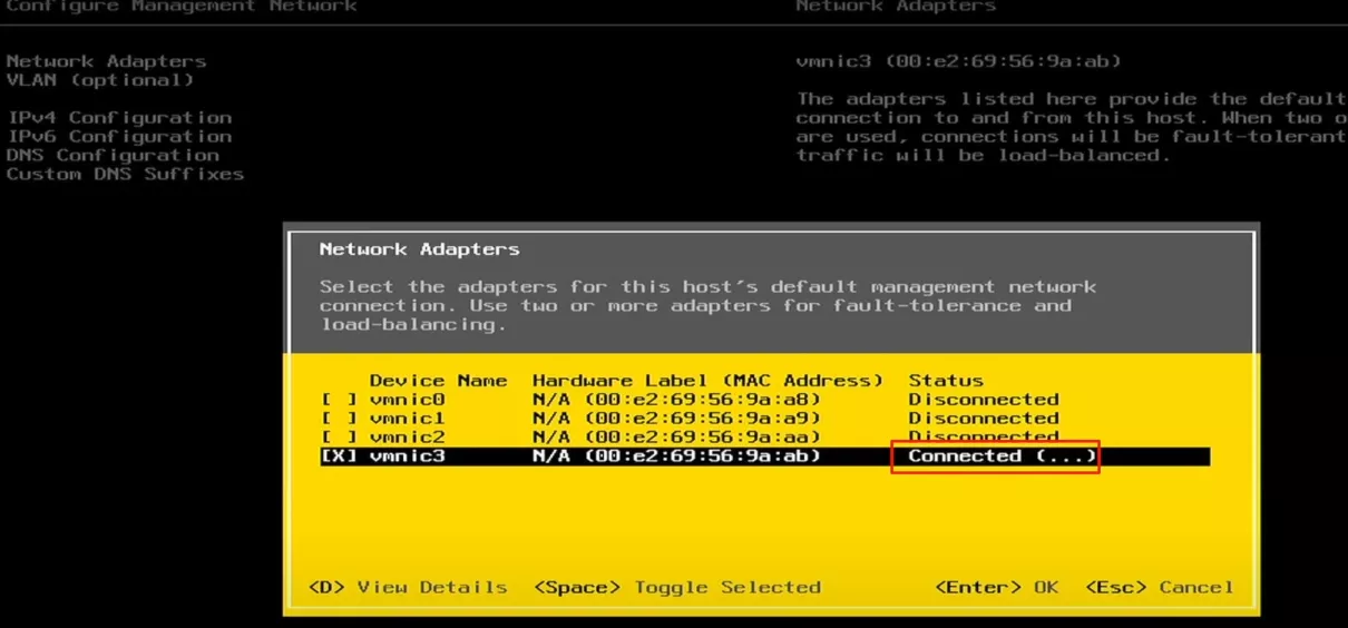 install ESXi